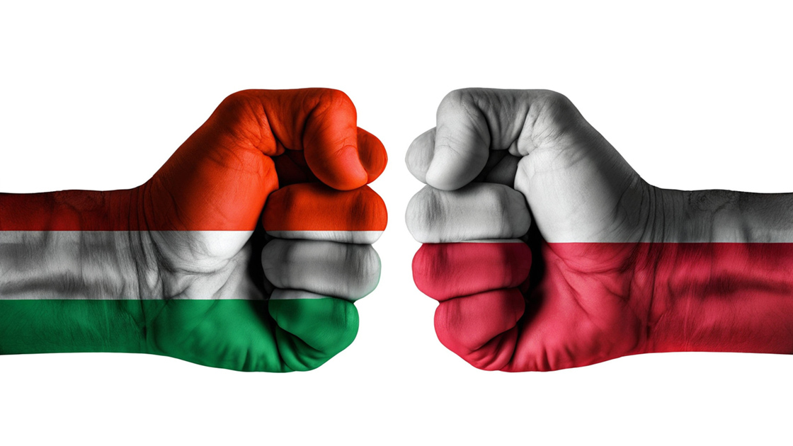 Illustration by depositphotos.com