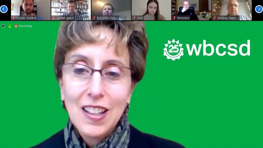 Diane Holdorf at the BCSDH teleconference