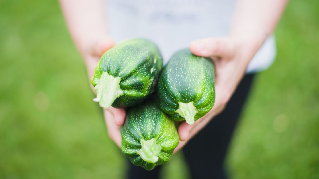 NGOs Call on Gov't to Keep Agriculture GMO-Free