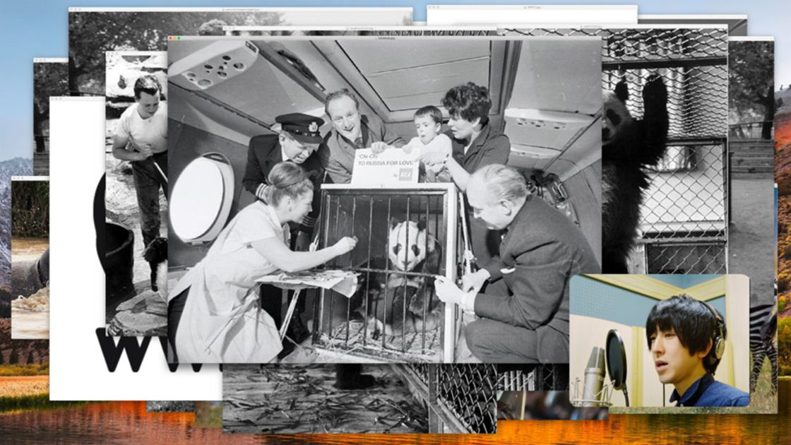 Photo by ludwigmuseum.hu