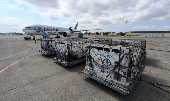 Hungarian calves shipped to Qatar by plane | source: Budapest Airport