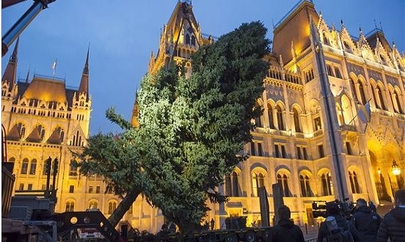 The Christma Tree of the Country erected by crane in front of Hungarian Parliament | Péter Lakatos / MTI